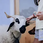 Agribenessere Agli Abatti 度假村