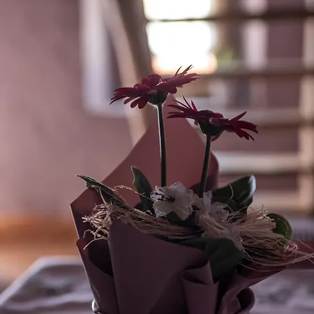 Agribenessere Agli Abatti Курортный комплекс Бардже