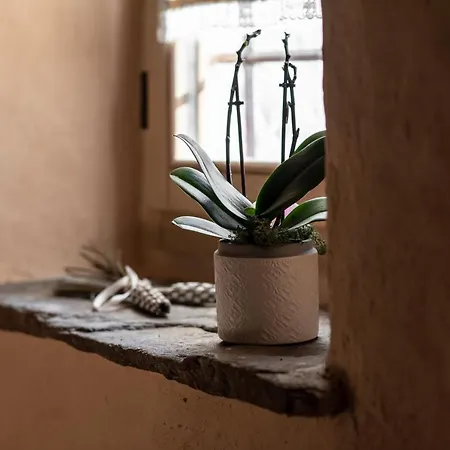 Agribenessere Agli Abatti Курортный комплекс Бардже