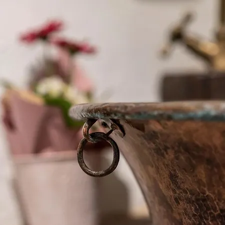 Agribenessere Agli Abatti *