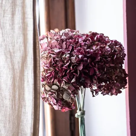 Agribenessere Agli Abatti * Бардже