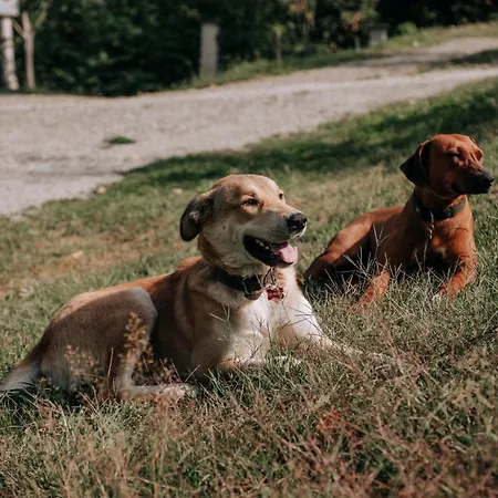 Курортный комплекс Agribenessere Agli Abatti Бардже