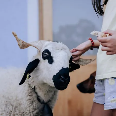 Agribenessere Agli Abatti Курортный комплекс