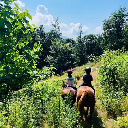 Resort Agribenessere Agli Abatti Barge