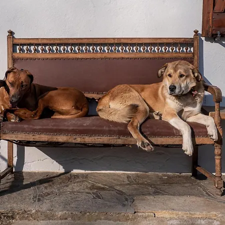 Agribenessere Agli Abatti *