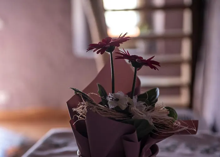 Agribenessere Agli Abatti Rezort Barge