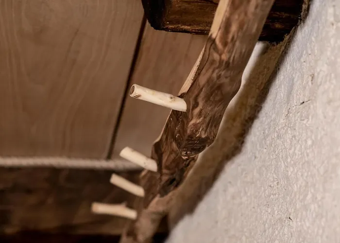 Agribenessere Agli Abatti Rezort Barge