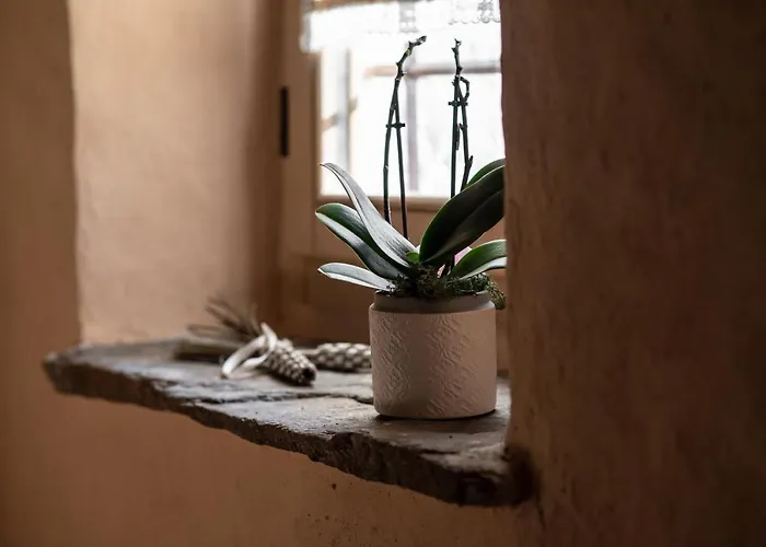 Agribenessere Agli Abatti Rezort Barge