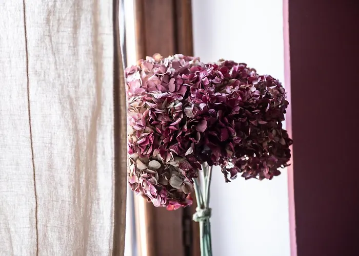 Agribenessere Agli Abatti * Barge