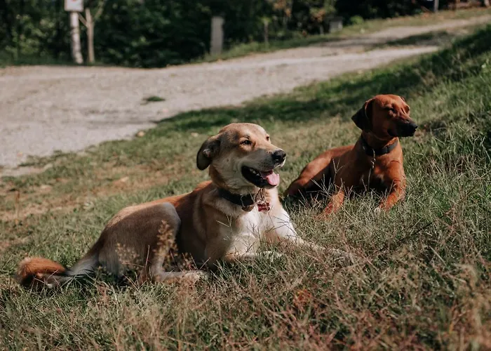 Rezort Agribenessere Agli Abatti Barge