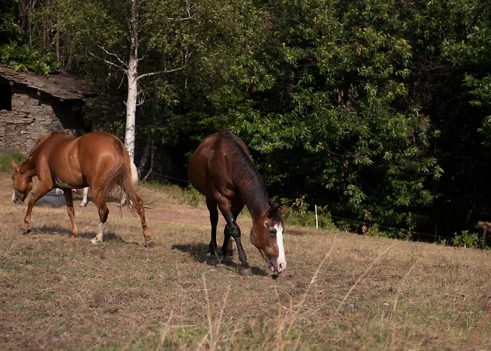 Agribenessere Agli Abatti * Barge