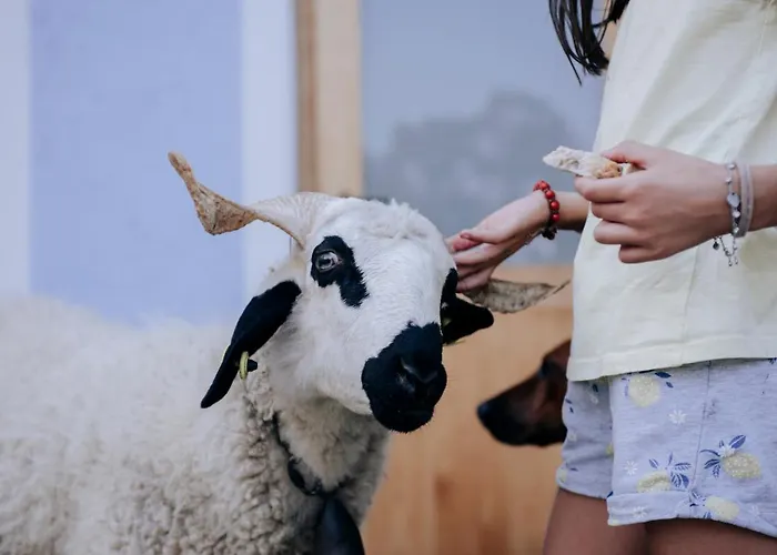 Agribenessere Agli Abatti Rezort