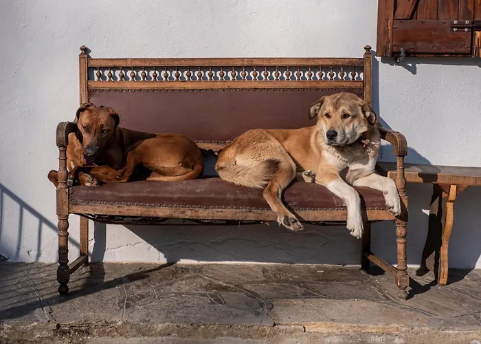 Agribenessere Agli Abatti *